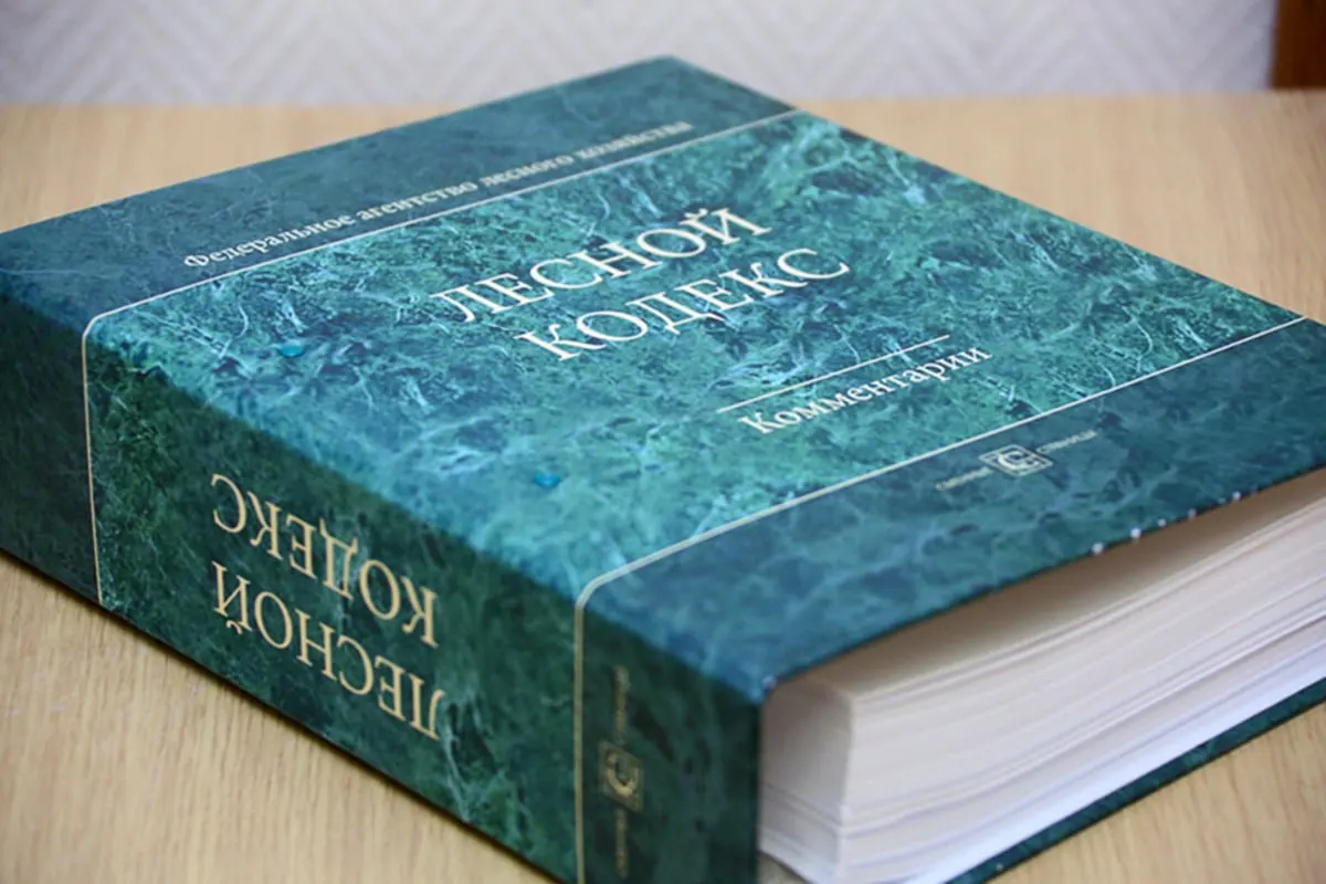 Эксперт по лесному хозяйству отмечает: в кодекс 2006 года внесли множество поправок, из‑за чего документ утратил целостность — он должен быть заменён новым, более простым и компактным нормативом.