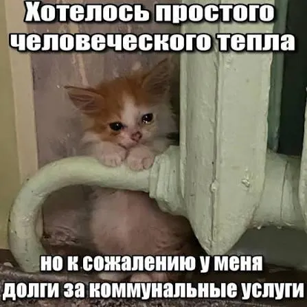 ВС подтвердил, что срок исковой давности по требованию об уплате долга за капитальный ремонт — три года; задолженности старше этого срока нельзя принудительно взыскивать через платёжные квитанции.