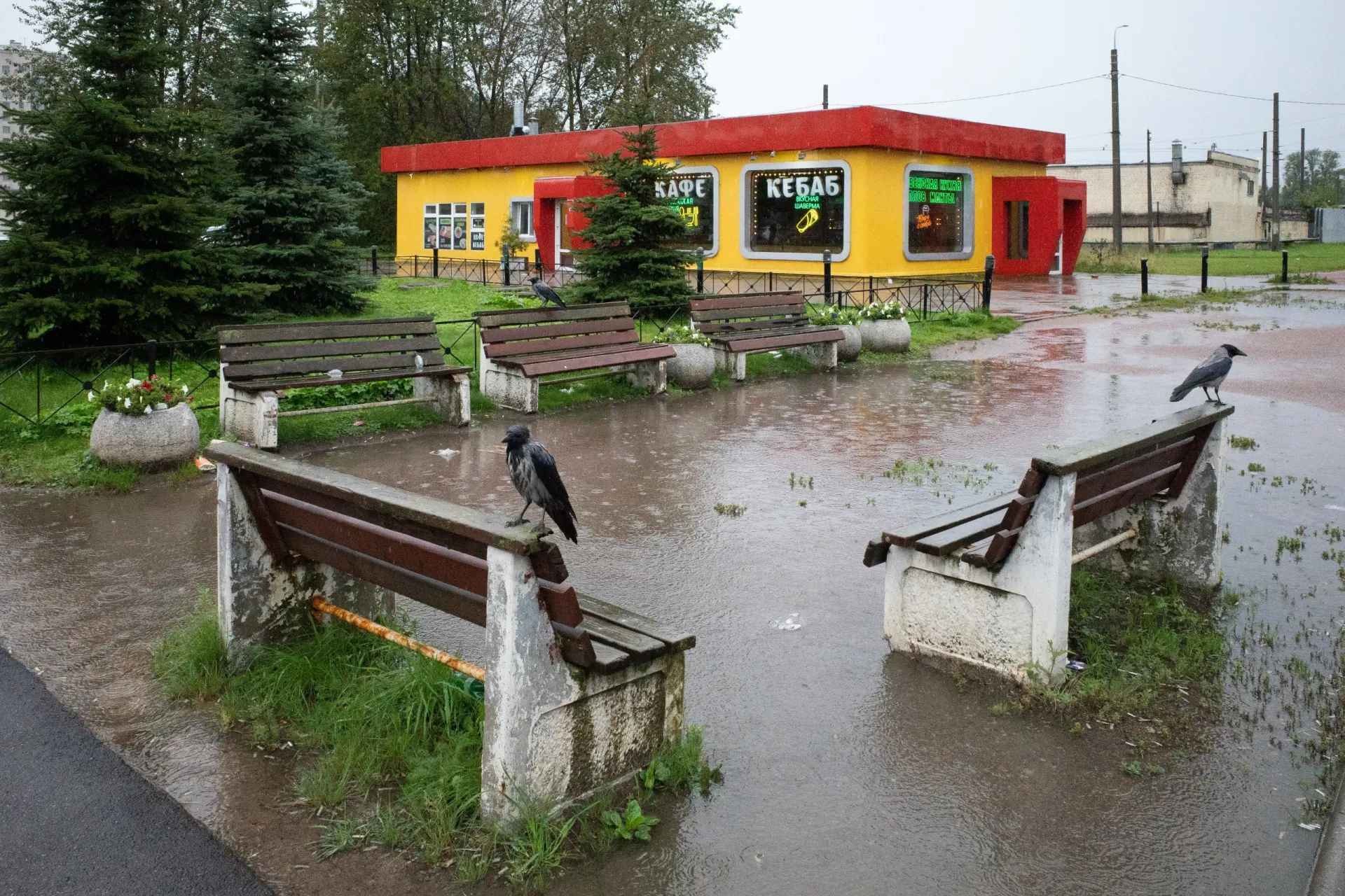 Новости в Санкт-Петербурге, по России и в мире: развод известного депутата, политические заявления и новые события на международной арене.