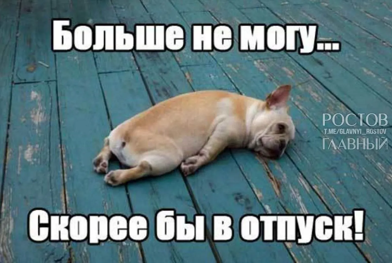 Депутаты предлагают повысить минимальную продолжительность ежегодного отпуска с 28 до 35 дней, чтобы компенсировать выходные, включаемые в отпуск, и помочь людям лучше отдыхать, снижая риск профессионального выгорания.