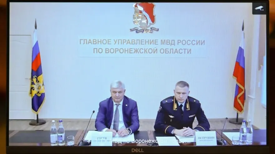 8 июня Министр внутренних дел представил Петрушина личному составу ГУ МВД по Воронежской области. Ранее он возглавлял УМВД по Ульяновской области; в регионе отмечался рост групповой преступности.