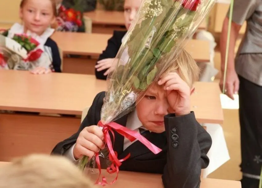 Замглавы Минпросвещения сообщил, что 11 лет — оптимальная продолжительность школьного обучения; сокращать или увеличивать срок пока не планируют, а стандарты будут выстраивать с учётом 11 классов.