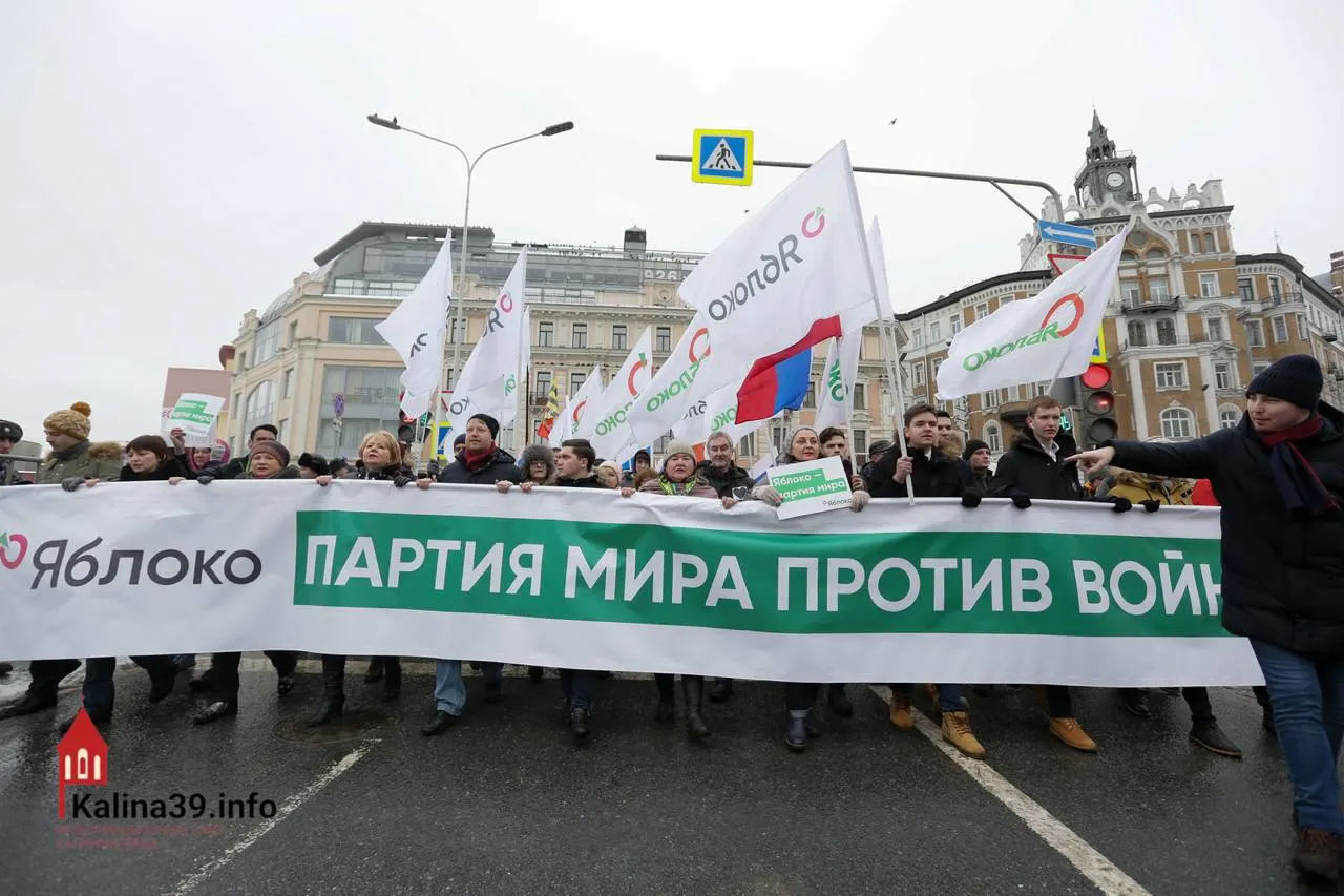 Регистрация федерального списка партии, выступающей против войны, объясняют желанием власти канализировать протестные настроения. При этом многие известных членов партии не были допущены к выдвижению.