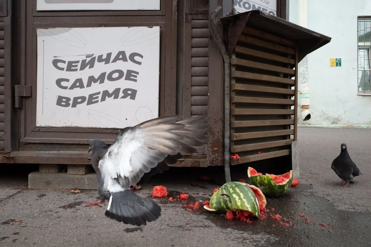 В Петербурге и Ленобласти вынесен штраф за антивоенное высказывание, прошли памятные мероприятия и произошли кадровые перестановки в Минобороны и регионах.
