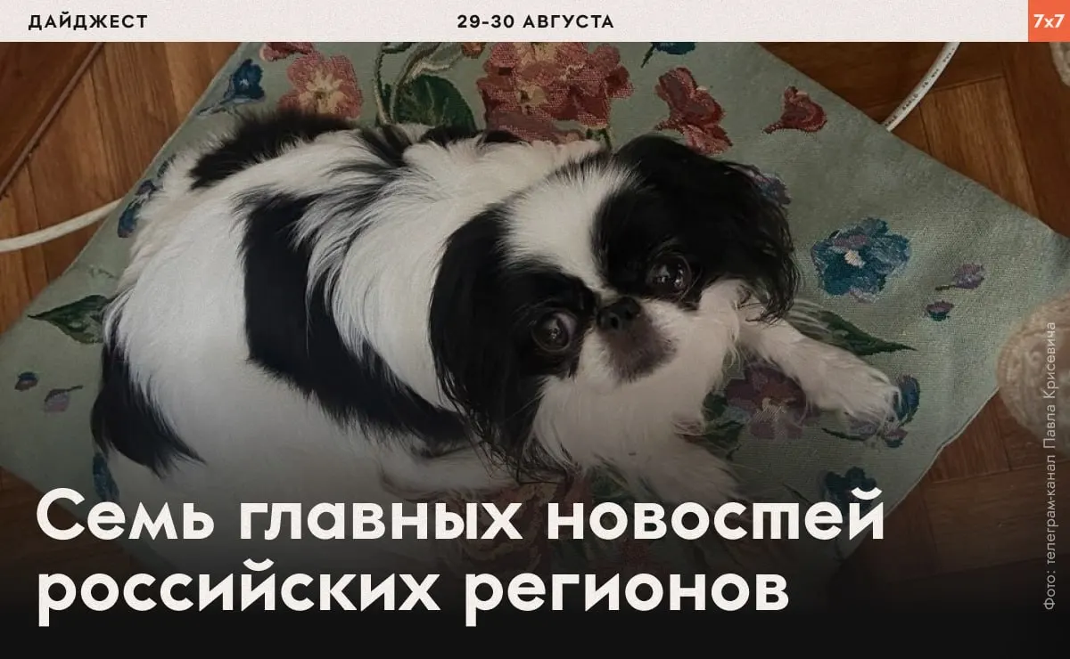 Краткий обзор региональных событий: давление на активистов, политические интриги вокруг выборов и градостроительные споры.