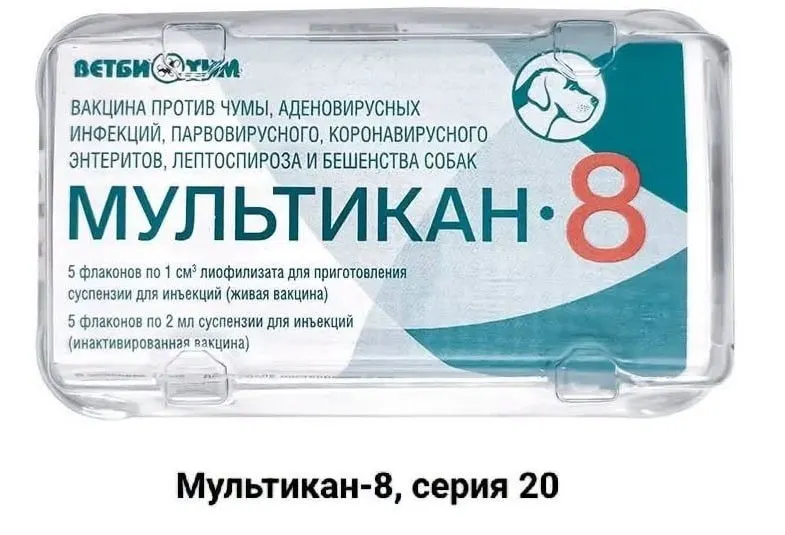 Владельцы собак, погибших после прививки «Мультикан-8», требуют расследования и обвиняют производителя в возможном нарушении технологий и замалчивании информации.
